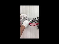 Δαχτυλίδι διασύνδεσης Ethernet ECN000-21P-06S-01EG